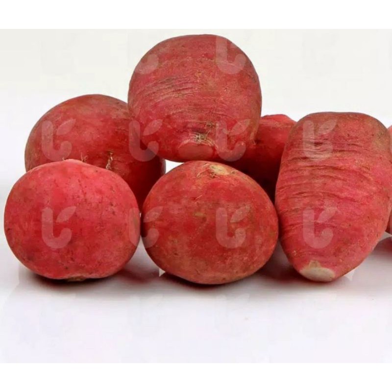 

Red Radish