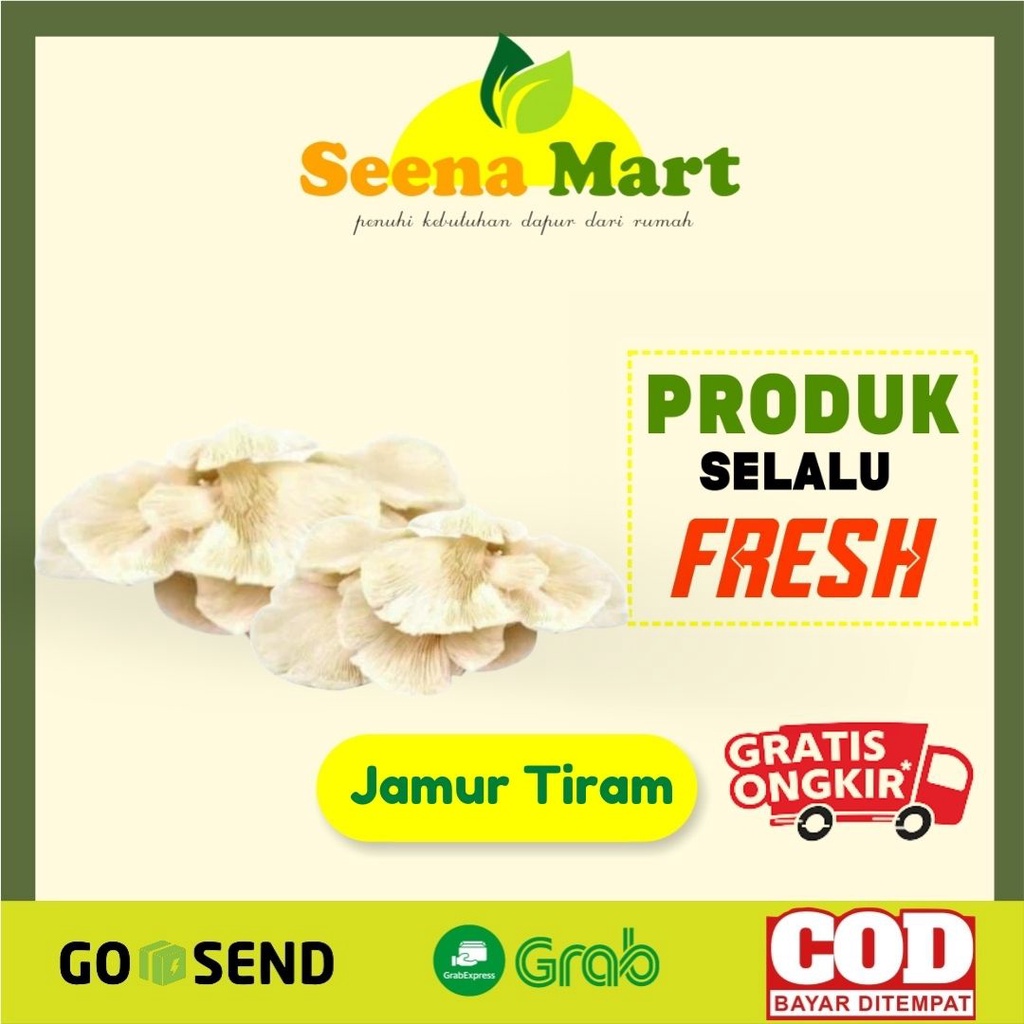 

Jamur Tiram Putih 1 Pack Bungkus
