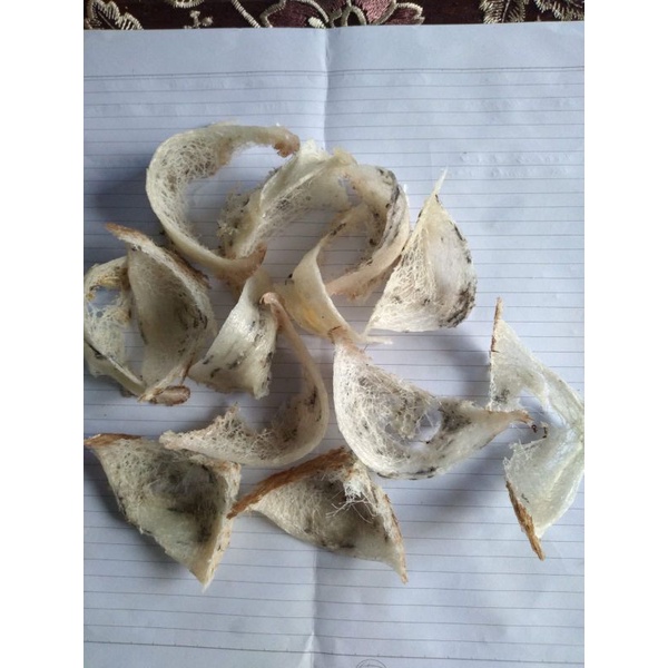 

waletkalimantan