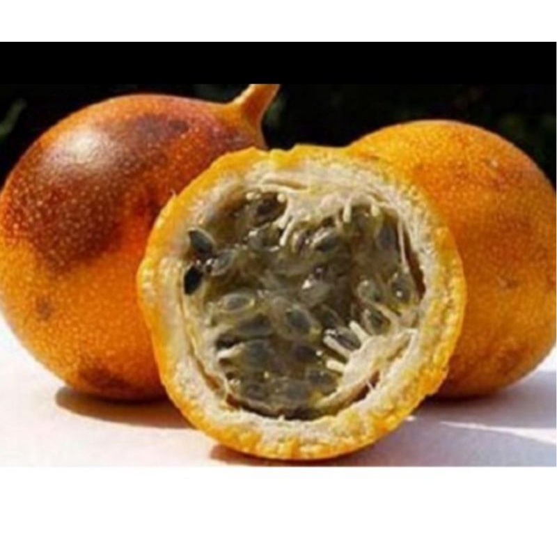 Bibit Markisa Konyal, Markisa Manis