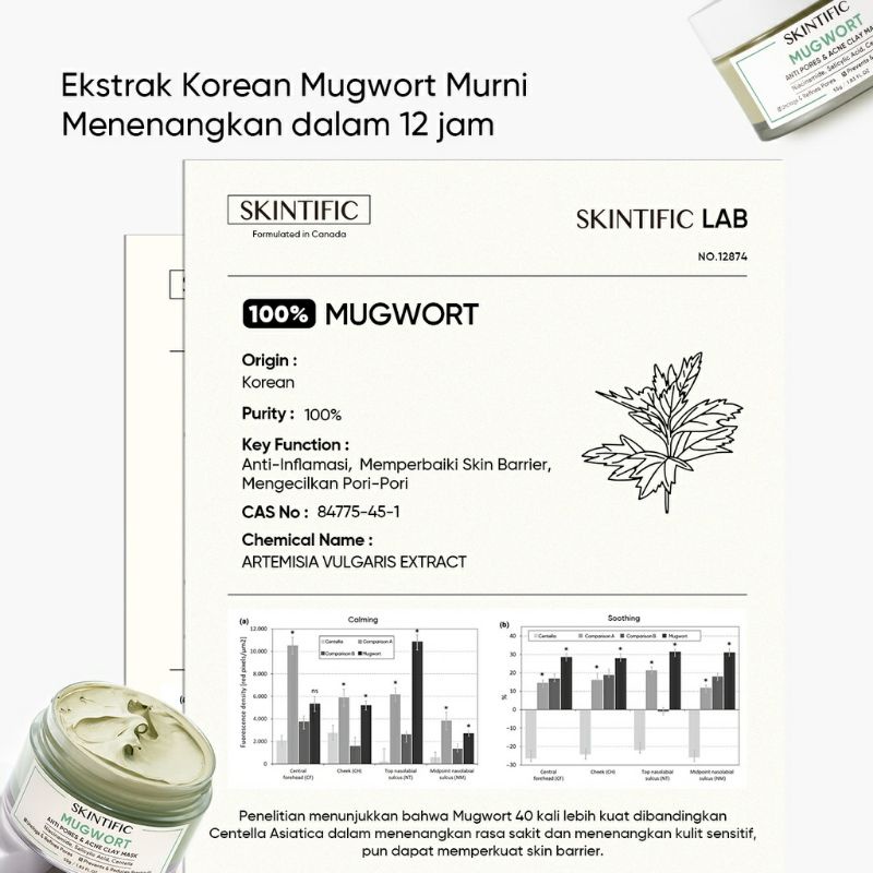 SKINTIFIC Mugwort Anti Pores &amp; Acne Clay Mask Pore Clarifying Wash Off