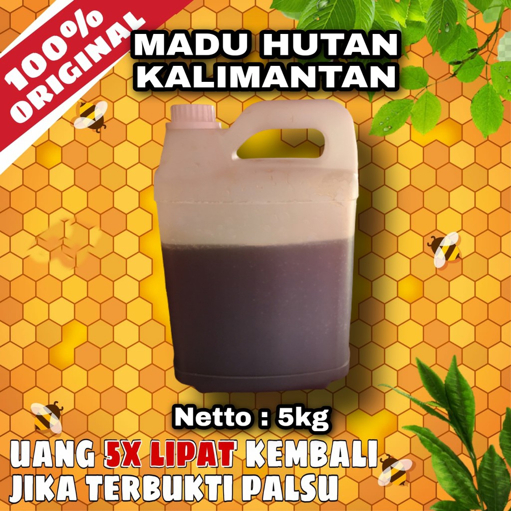 

Madu Murni Asli 5kg - Madu hutan kalimantan 100% Asli