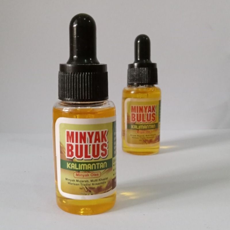 

MINYAK BULUS