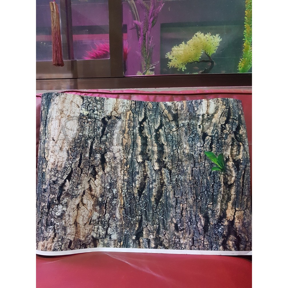 Unduh 430+ Background Aquarium Air Tawar Gratis Terbaik
