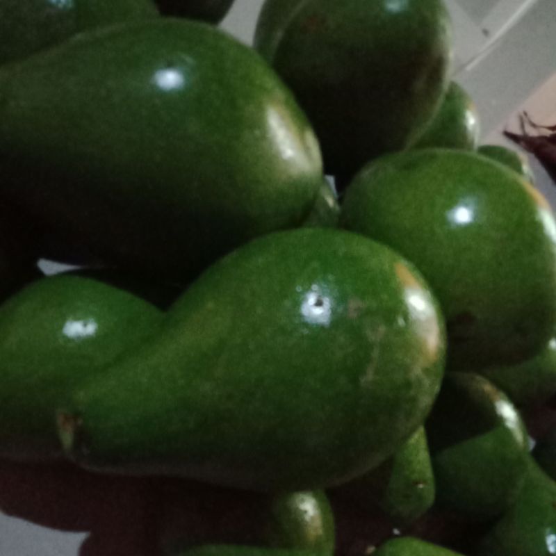 

ALPUKAT mentega 1kg isi 3_4