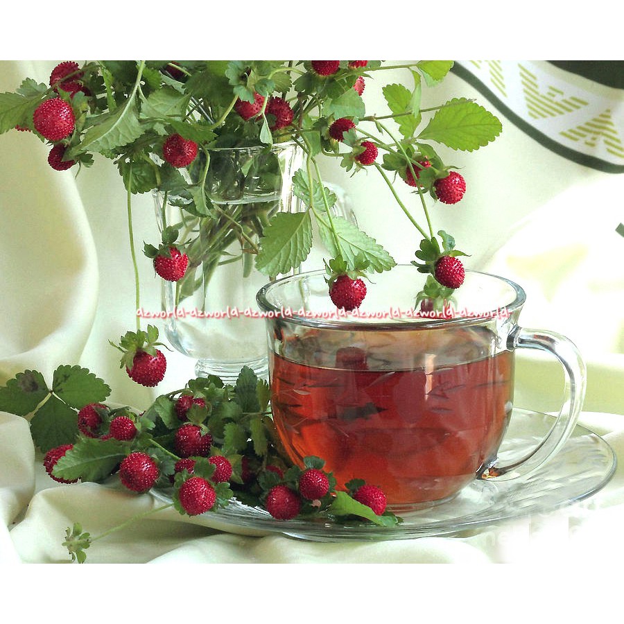 Ahmad Tea Fruit &amp; Herbs Infuision Wild Strawberry 20foil Teh Rasa Buah Stroberi Ahmadtea