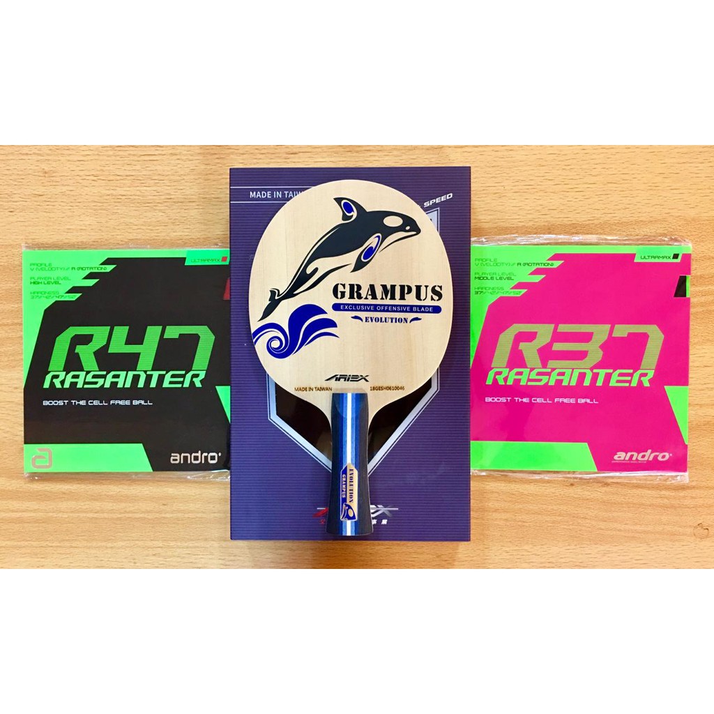 Setup Tenis Meja Pingpong Ariex Grampus Evolution Andro R47 R37
