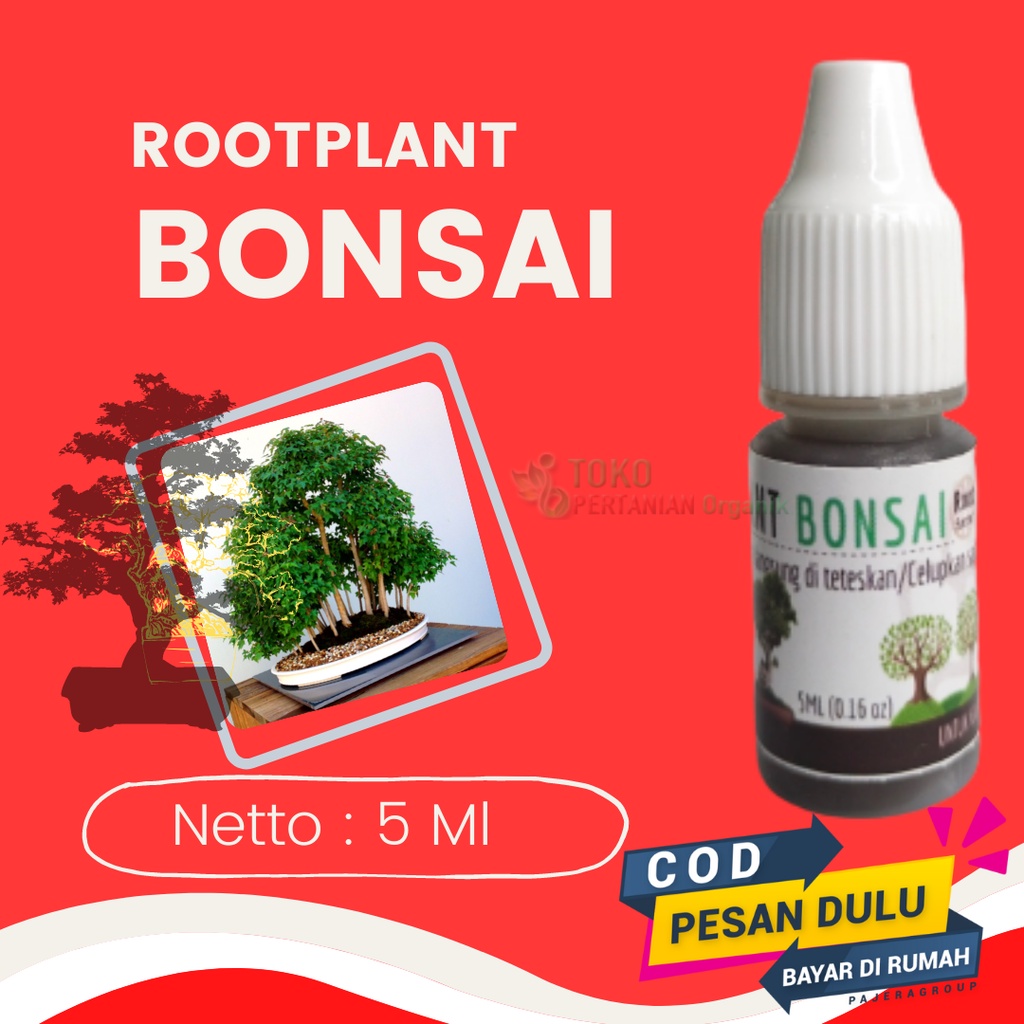 Nutrisi bonsai serut, Pupuk Hormon bonsai kelapa media air cepat tumbuh