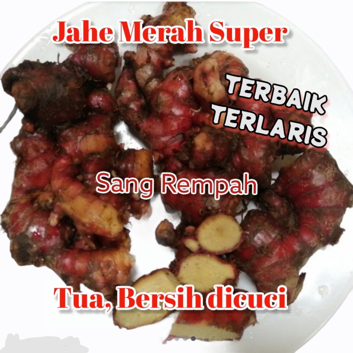 

tradisional-minuman- promo!!! jahe merah super segar 1kg -minuman-tradisional.