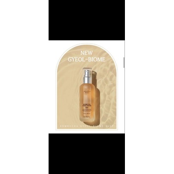 DP Kombucha Gyeol Biome Mist
