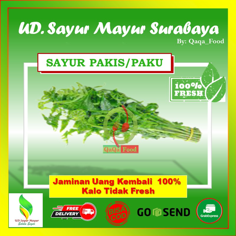 Jual Sayur Pakis Sayur Daun Paku Daun Pakis Segar Fresh Sayuran Segar