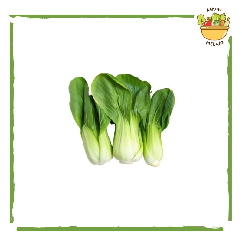 

Sawi daging/ pokcoy/ bok choy/ sayuran segar