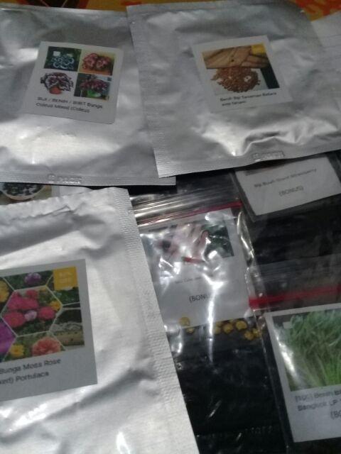 Biji Tanaman Anti Nyamuk Mosquito Repelling Grass
