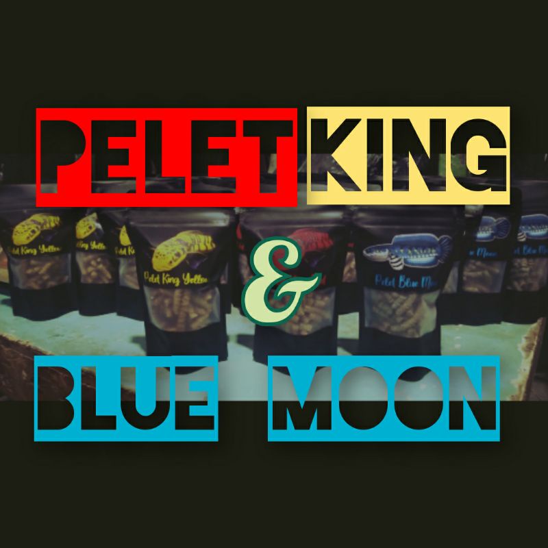 pelet king dan blue moon super premium pakan chana