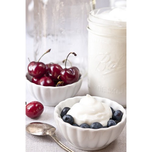 

BgKr BIBIT YOGHURT SERBUK 7 Gram Untuk Membuat Yoghurt Minuman Aneka Rasa Halal