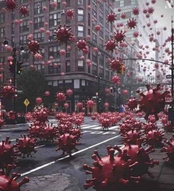 Media Tanam Organik Lengkap