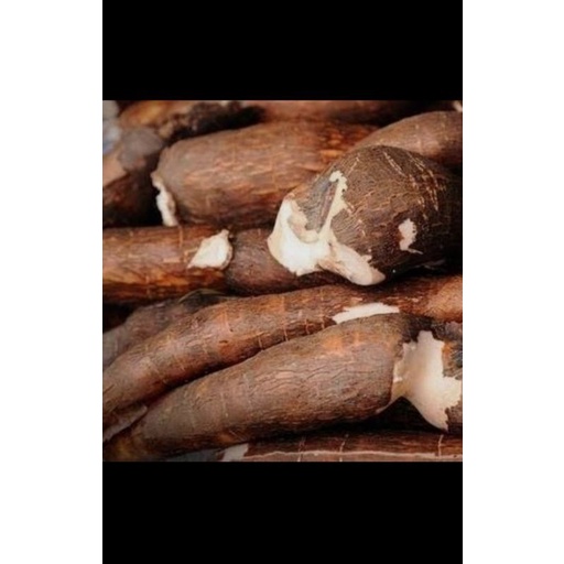 

singkong mentah 1 kg