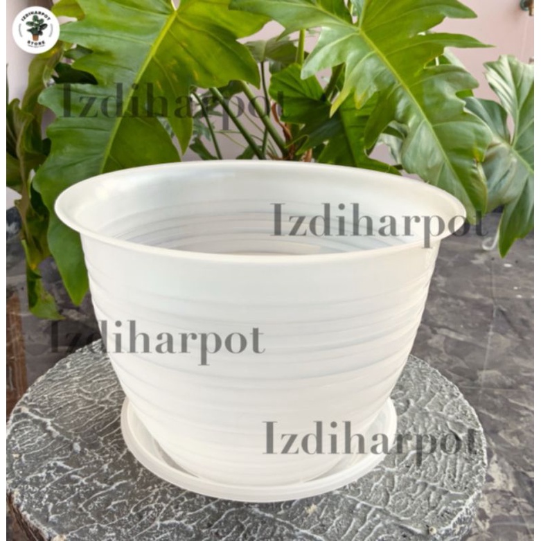 pot bunga tanaman tawon HANNY bening transparan 22cm + tatakan bening