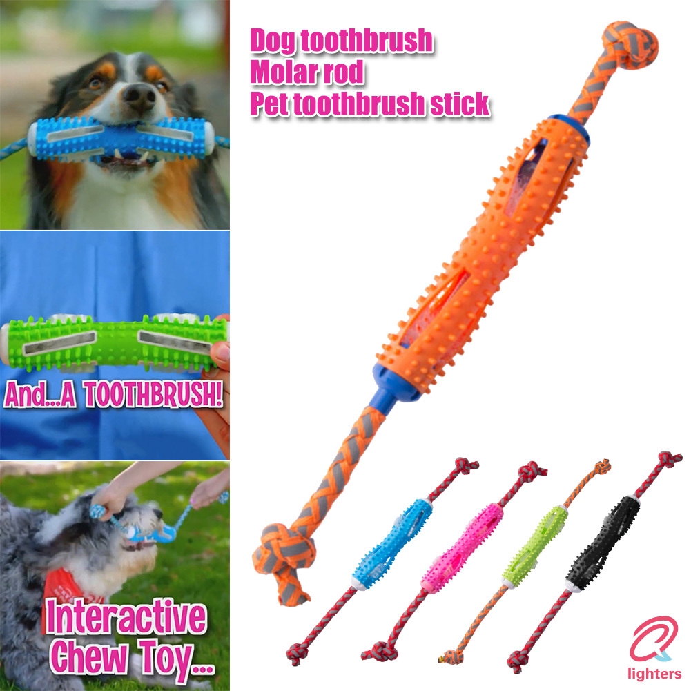dog toothbrush stick