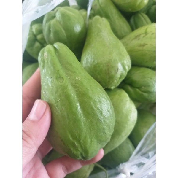 

Baby labu siam 500gr