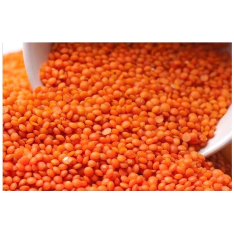 

Kacang lentil merah organik 1 Kg .
