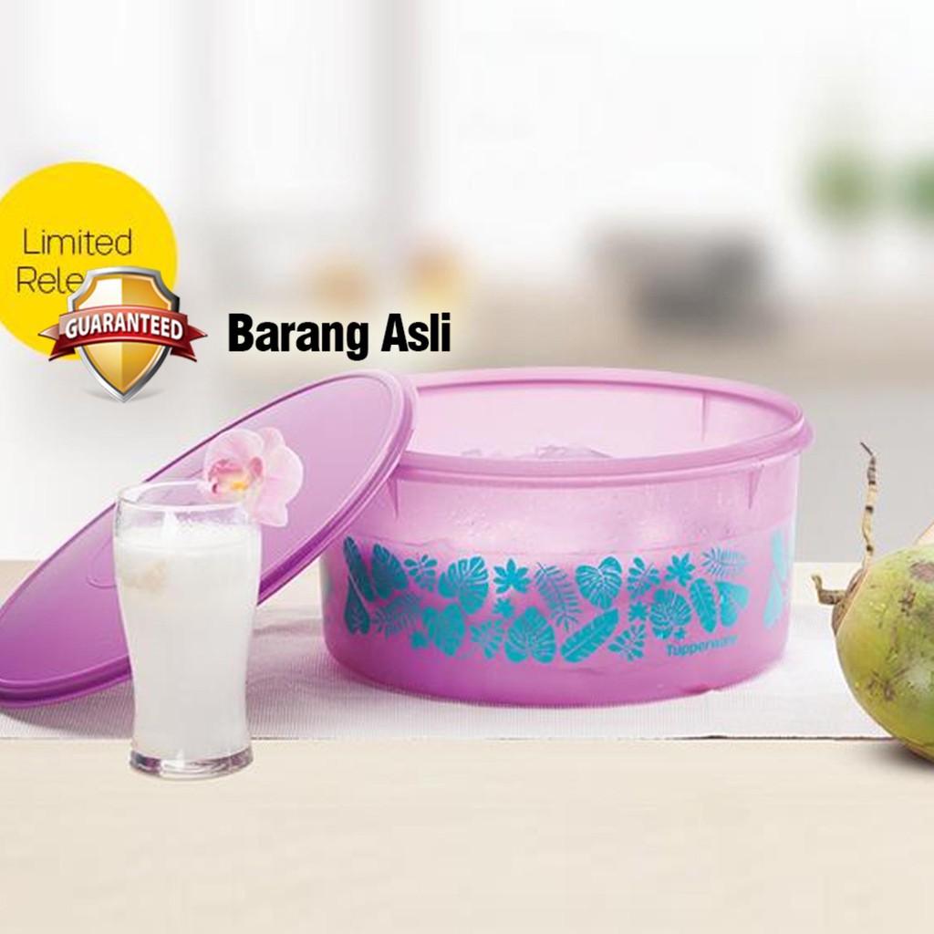 wadah makanan tupperware Carry All Canister - Purple