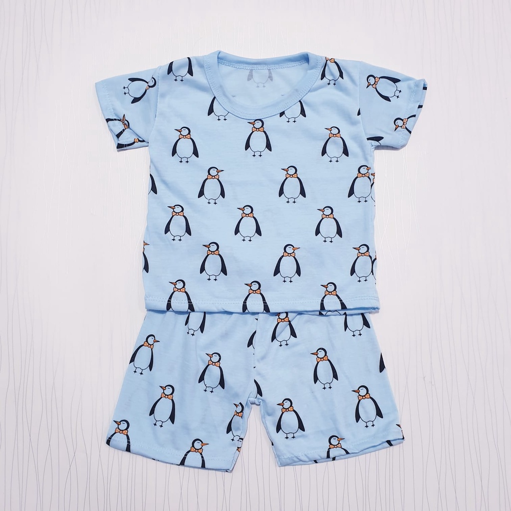 Setelan Anak Motif Pinguin 0-12 Bulan Cyandclothing