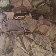 

TERMURAH DAUN SUKUN KERING / BAKARA / KLUIH 100 GRAM