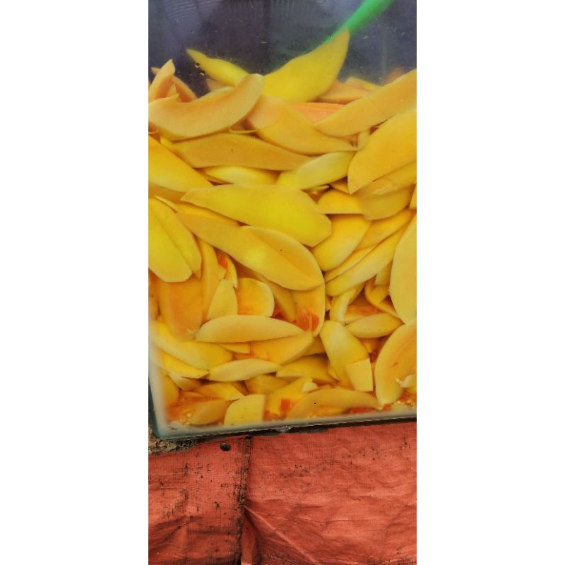 

Asinan mangga pedas khas Bogor 250 gram