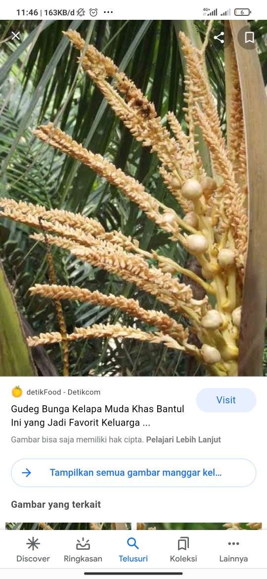 Kemeja Batik Prabu Bahan Katun Baturaden Reguler Fit A540