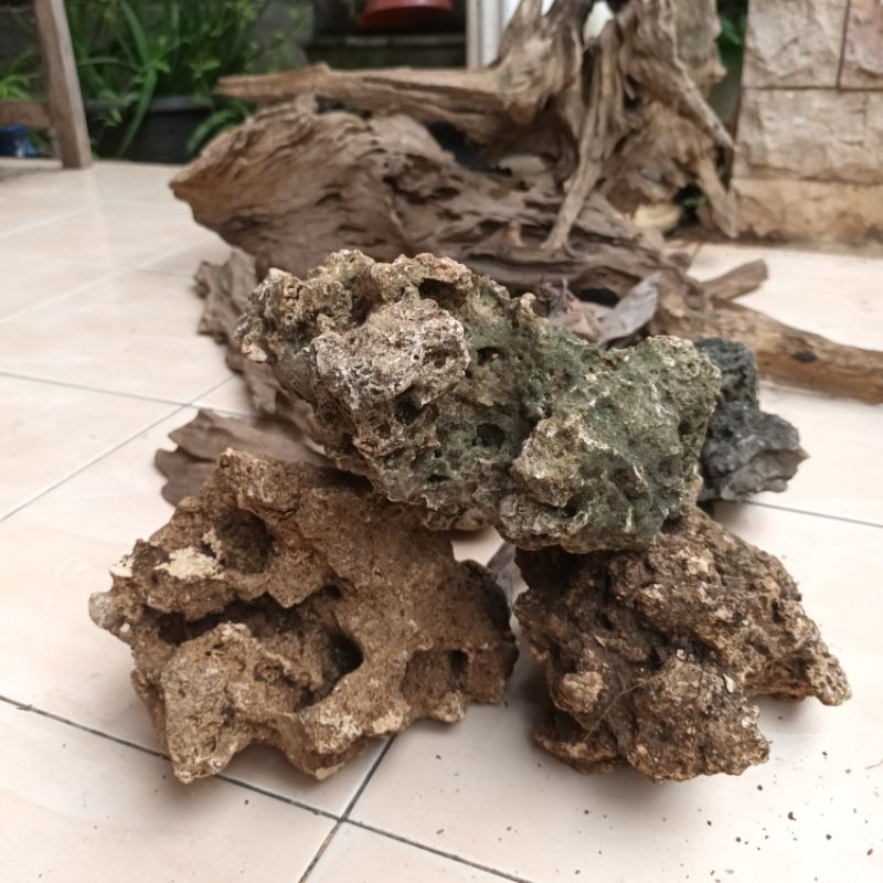 Batu karang gunung aquascape, bonsai L