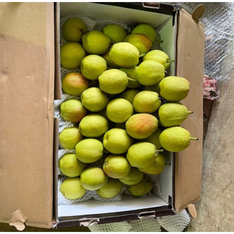 

buah pear sianglie / pir fragrant 1dus