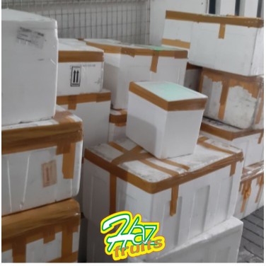 

STEROFOEM BARU BEKAS BESAR KECIL (UNTUK PACKING PRODUCT)