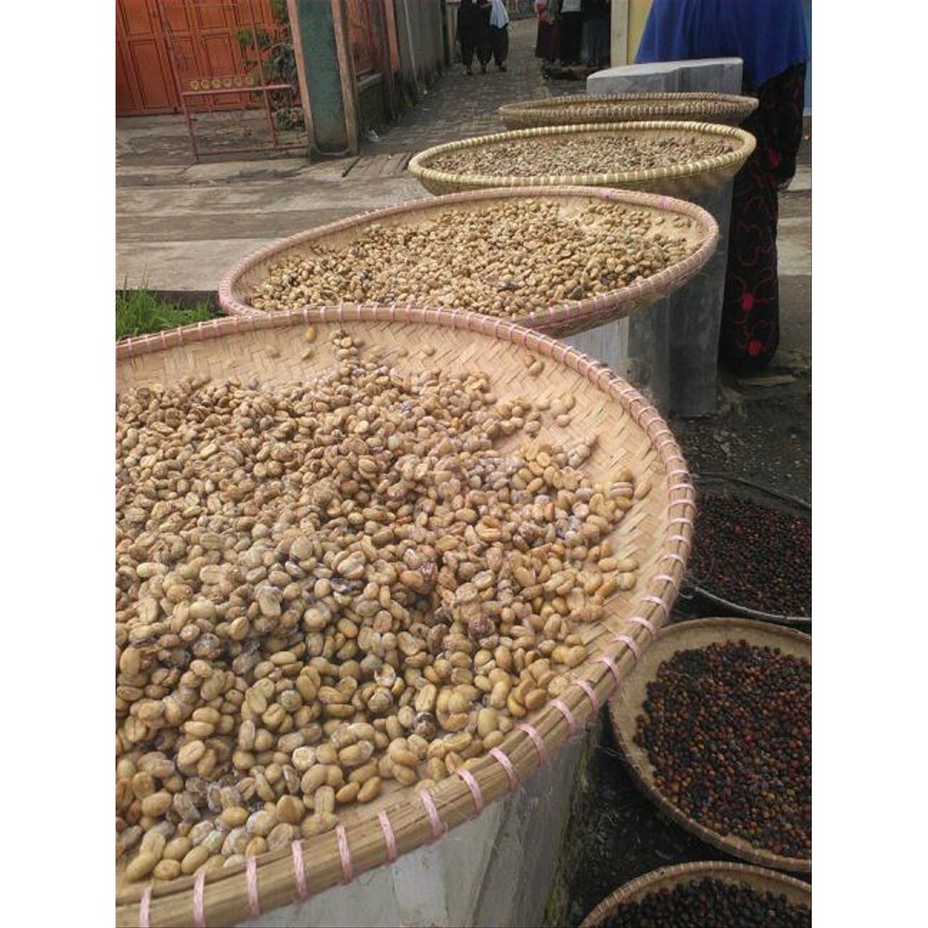 

Green Bean Arabika Papandayan Honey Proses Best Quality