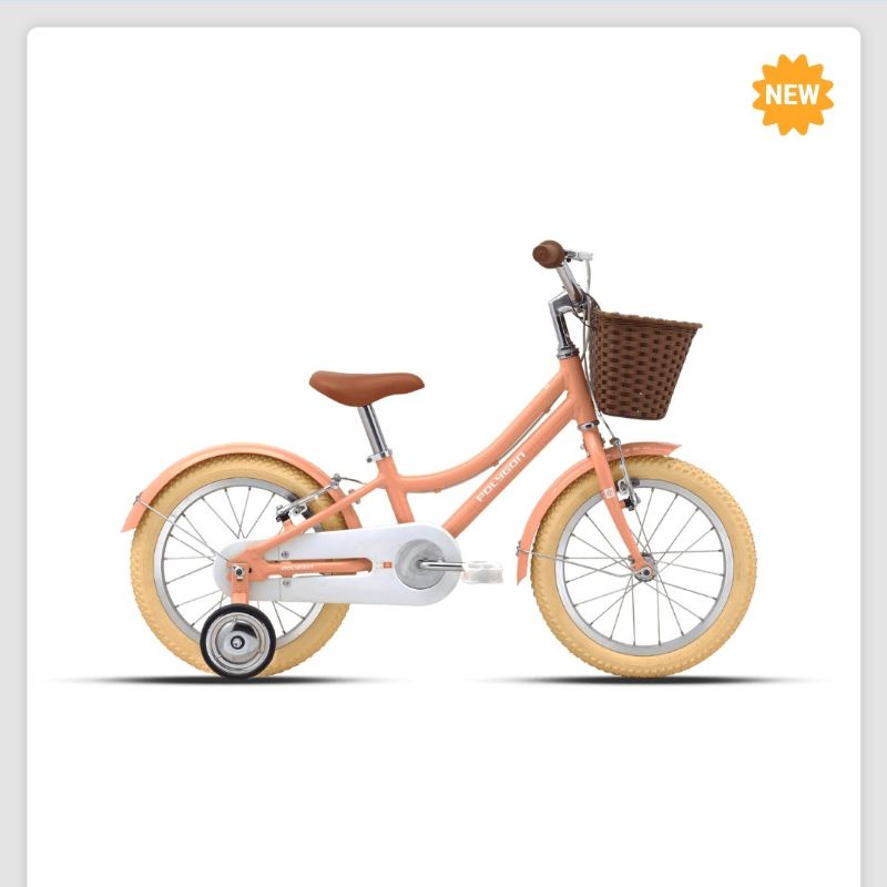 CTB 16" Polygon Alice 16