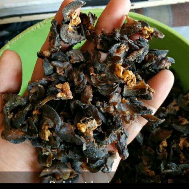 

Bekicot kering