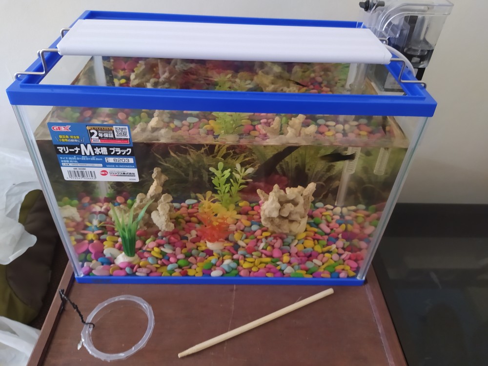 Pompa Udara Aerator Air Pump Amara Q3 1lubang