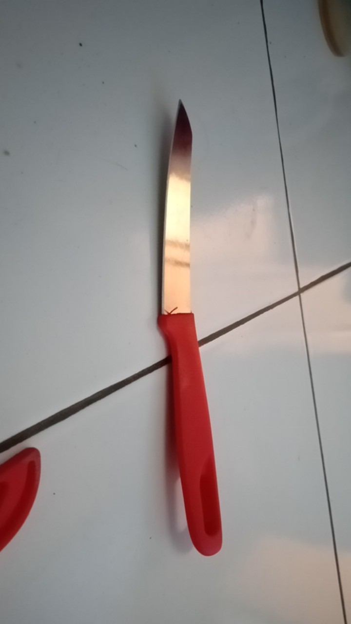 Pisau Kecil Dapur Dengan Pelindung Yzf62