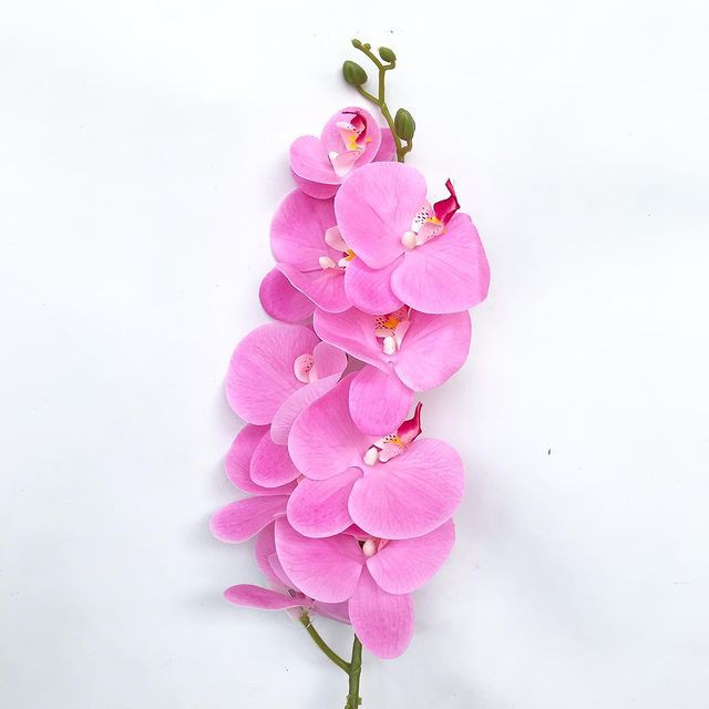 ANGGREK LATEX ORCHID X1 panjang 1 meter -  bunga plastik artificial home decor shabby chic-Pink