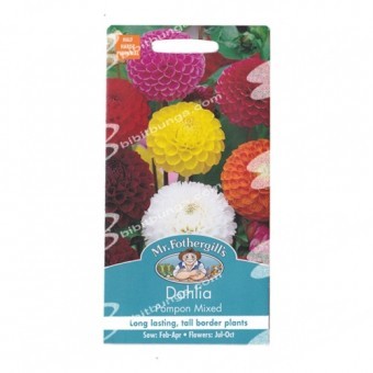 Bibit Benih Biji Mr Fothergills Dahlia Pompon Mixed - 50 biji