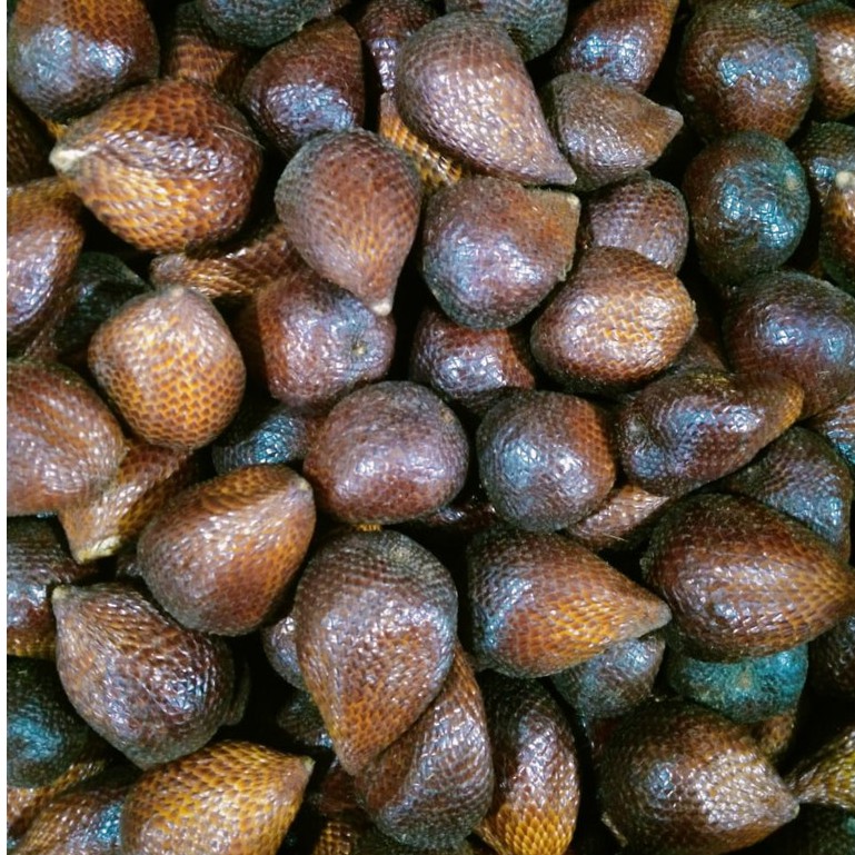 

Buah Salak Segar