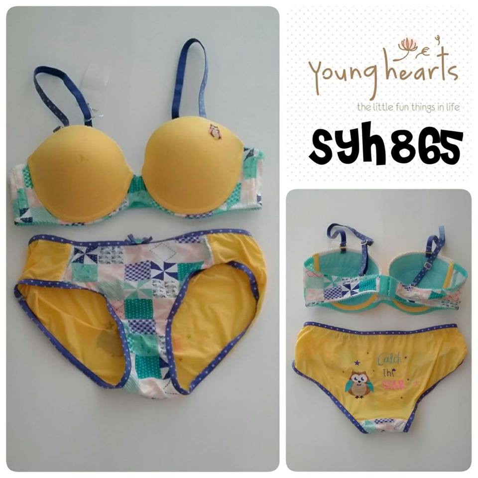 Young Hearts Bra 865 Set / SIZE 32B 34B