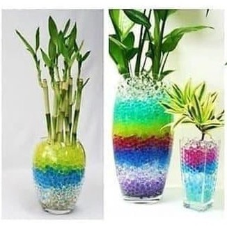 Hidrogel Hitam Media Tanam Tanaman Hias Hidrogel Black Cocok Indoor