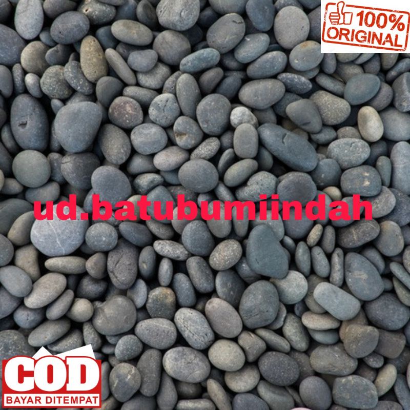 Batu Koral Hitam Kecil Batu Alor Hitam Hiasan Taman & Aquarium 500gram