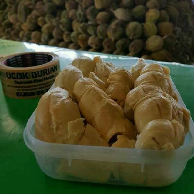 

Durian Ucok Kupas Fresh From Medan FREEONGKIR