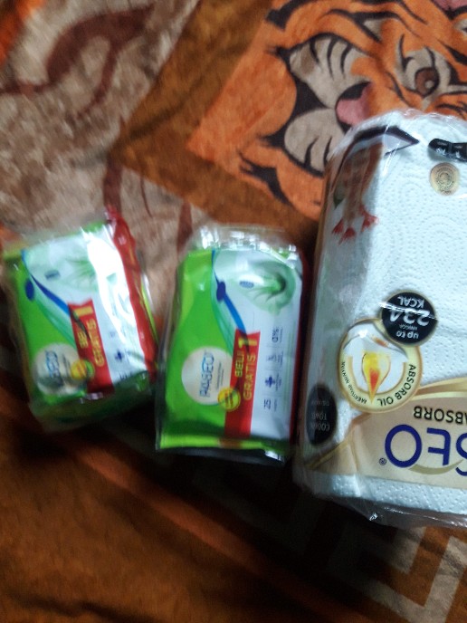 Tisu Minyak Paseo Kitchen Towel 1 Roll - Tisu Dapur