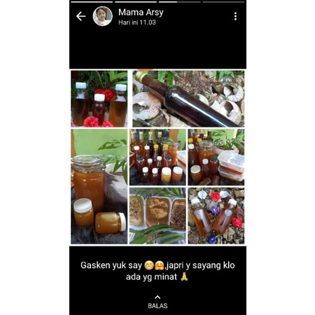 

madu asli hutan official