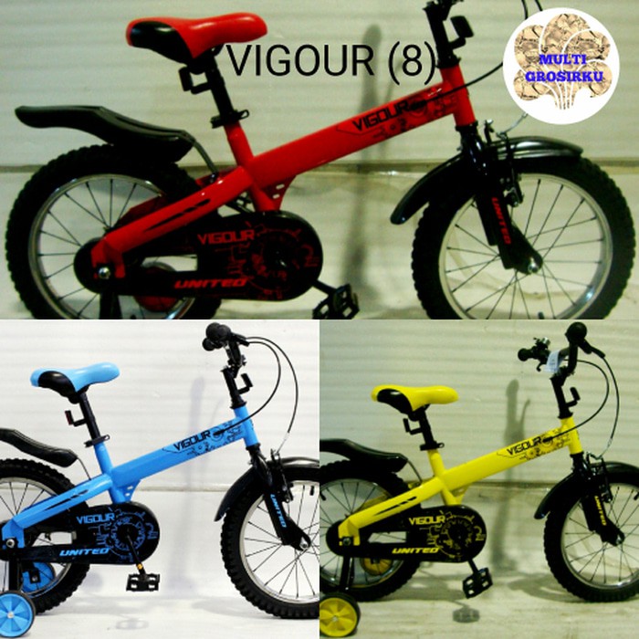 Sepeda Anak United Vigour 18