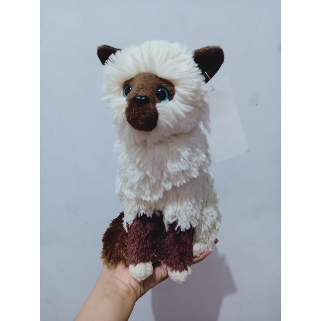 Boneka kucing himalaya lucu Cat stuffed plush animal doll