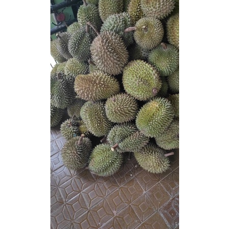 

Duren